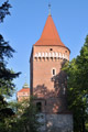 Baszta Pasamonik�w